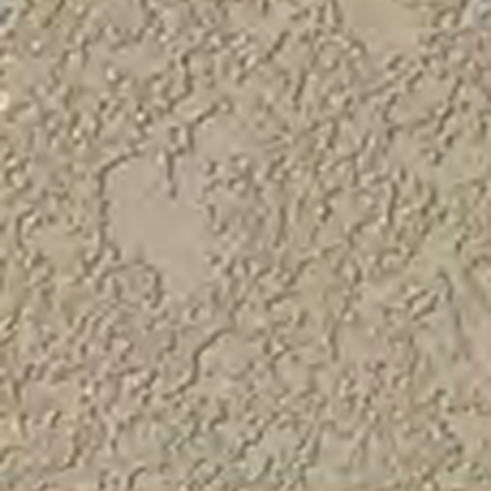 Navajo Cream
